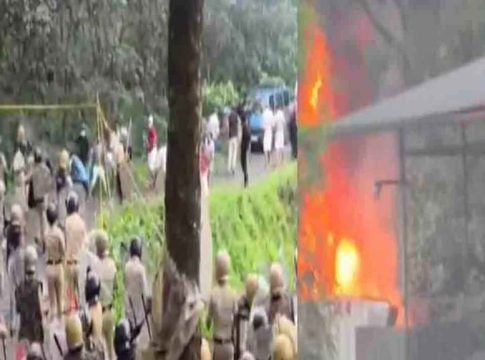 protest against fresh cut waste plant