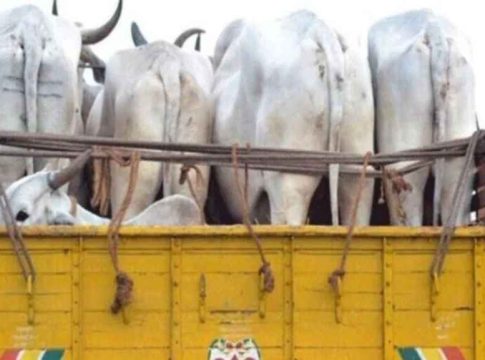 കാലിക്കടത്ത്; വാഹനം നിർത്തിയില്ല, മലയാളിയെ വെടിവച്ച് വീഴ്ത്തി കർണാടക പോലീസ് Cattle Smuggling