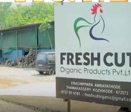 Fresh Cut Waste Plant Protest