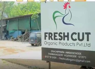 Fresh Cut Waste Plant Protest