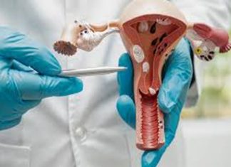 സെർവിക്കൽ കാൻസർ; ഓരോ രണ്ട് മിനിട്ടിലും ഒരു സ്ത്രീ മരിക്കുന്നു! Cervical Cancer