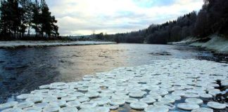Ice Pancakes on the River Bladnoch