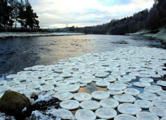 Ice Pancakes on the River Bladnoch
