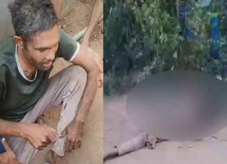 വാളയാർ ആൾക്കൂട്ടക്കൊല; രണ്ടുപേർ കൂടി പിടിയിൽ, തമിഴ്നാട്ടിലും അന്വേഷണം Walayar Mob Attack Death