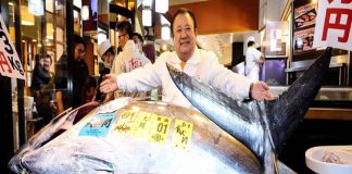 എന്റമ്മോ എന്തൊരു വലിപ്പം! 29.24 കോടി രൂപയ്ക്ക് ലേലത്തിൽ വിറ്റുപോയ മൽസ്യം atlantic bluefin tuna