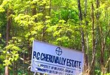 Cheruvally Estate