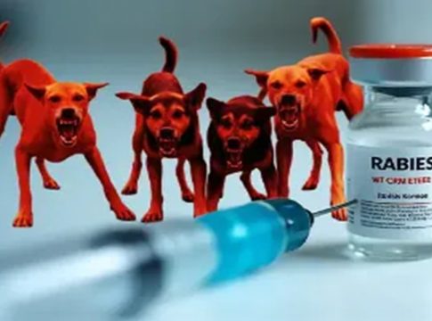 Fake Rabies Vaccines Circulating in India