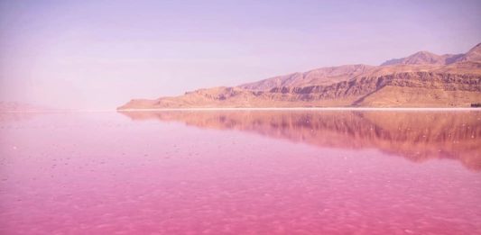 തറയിൽ വീണ റോസാപൂക്കളോ! പിങ്ക് നിറത്തിൽ വിസ്മയമായി മഹർലൂ തടാകം Maharloo Lake