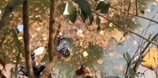 Mini Lorry Accident In Malappuram