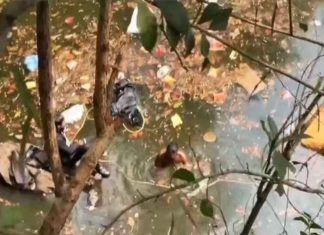 Mini Lorry Accident In Malappuram