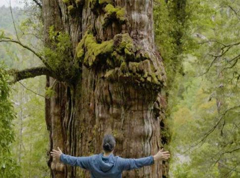 gran abuelo (great grandfather)