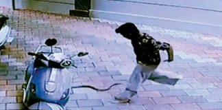 പാമ്പ് ആഞ്ഞുകൊത്തി, കടികൊണ്ടത് പാന്റ്സിൽ; തലനാരിഴയ്ക്ക് രക്ഷപ്പെട്ട് 11-കാരൻ snake bite incident in nadapuram