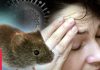 Hanta Virus Outbreak on Cruise Ship