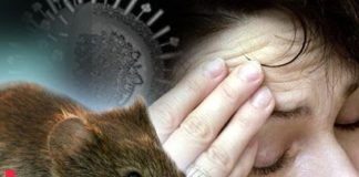 Hanta Virus Outbreak on Cruise Ship