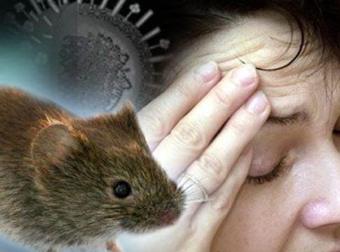 Hanta Virus Outbreak on Cruise Ship