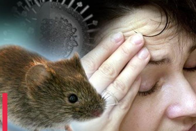Hanta Virus Outbreak on Cruise Ship
