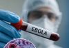  Ebola Virus