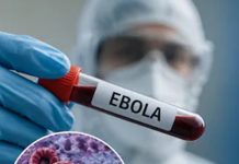  Ebola Virus