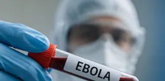  Ebola Virus