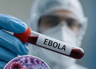  Ebola Virus