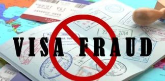 Visa Fraud Case