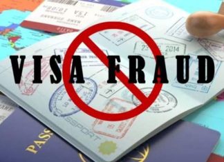 Visa Fraud Case