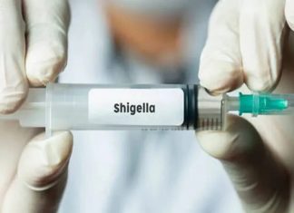 shigella