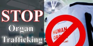 organ trafficking