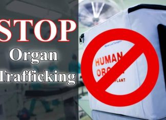 organ trafficking