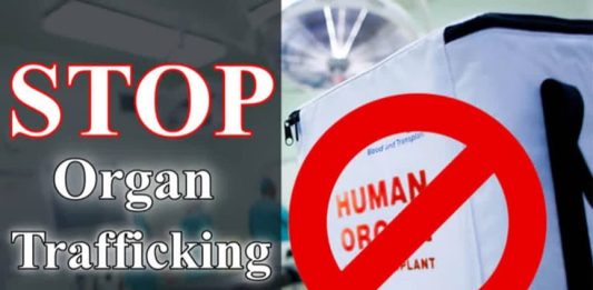 organ trafficking