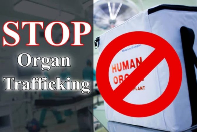 അവയവക്കച്ചവടം; സംസ്ഥാനത്ത് അഞ്ചിടങ്ങളിൽ ഇഡി പരിശോധന organ trafficking