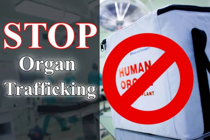 organ trafficking organ trafficking