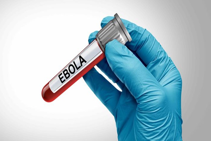 Ebola Virus Ebola Virus