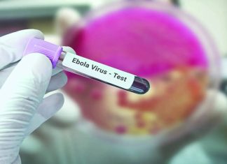 Ebola Virus