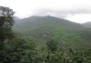 Youth trapped in Vilangad forest