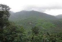 Youth trapped in Vilangad forest