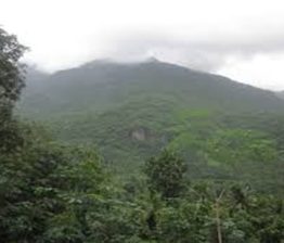 Youth trapped in Vilangad forest