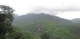 Youth trapped in Vilangad forest