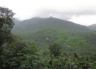 Youth trapped in Vilangad forest