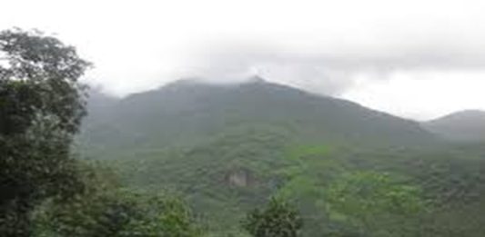 Youth trapped in Vilangad forest