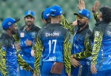 Kochi Blue Tigers Team
