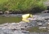 Bodies recovered from Bhavani River in Attappadi, Agali