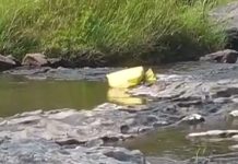 Bodies recovered from Bhavani River in Attappadi, Agali