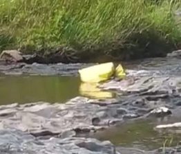 Bodies recovered from Bhavani River in Attappadi, Agali