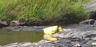 Bodies recovered from Bhavani River in Attappadi, Agali