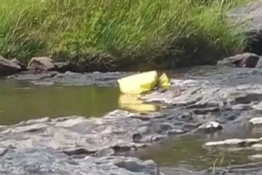 attapadi agali bhavani river bodies found Bodies recovered from Bhavani River in Attappadi, Agali
