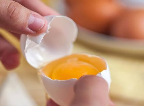 egg
