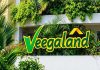 Veegaland Developers IPO