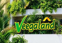 Veegaland Developers IPO