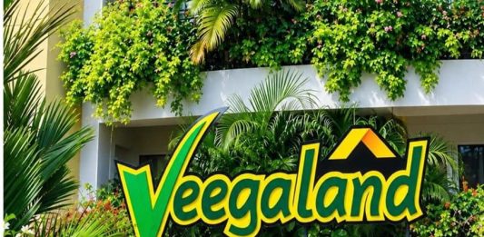 Veegaland Developers IPO